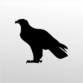 Folyo Sticker Kartal 90 cm uzunluk