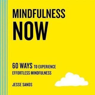 Mindfulness Now - Jesse Sands - St Martin's Press
