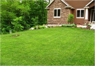 4 Lü Karışım Çim Tohumu 5 Kg