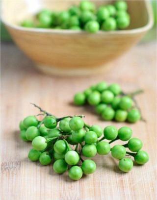 Mini Yeşil Misket Patlıcan