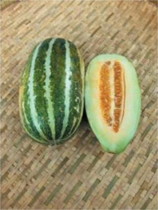 Tayland Kavunu Tohumu 10 Tohum