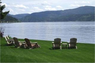 Üç Lü Karışım Çim Tohumu Mix1kg