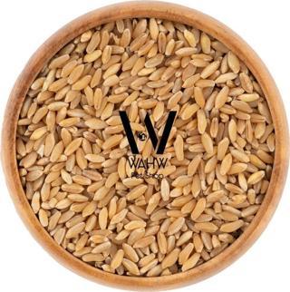 Wahw Pet Yemlik Sert Buğday - 4 KG Güvercin Tavşan Tavuk Kuzu Keçi