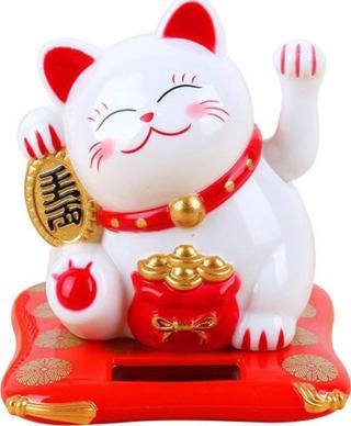 Evimdeyok Şanslı Kedi