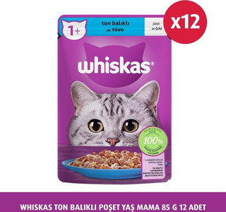 Ton Balıklı Poşet Yaş Mama 85 G 12X