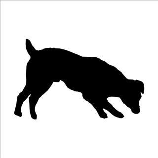 KÖPEK FOLYO STİCKER 130cm Uzunluk