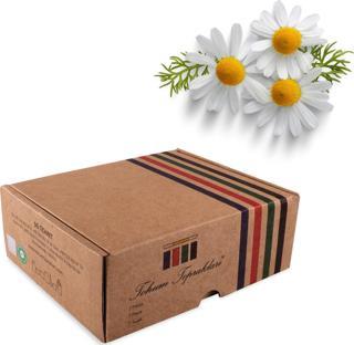 Elite  Çiçek Yetiştirme Seti Gerbera (Gerbera Çiçeği)