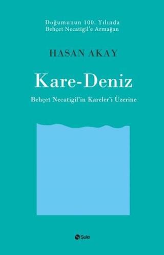 Kare-Deniz - Hasan Akay - Şule Yayınları