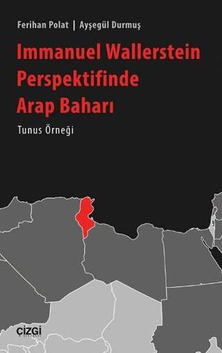 Immanuel Wallerstein Perspektifinde Arap Baharı - Ferihan Polat - Çizgi Kitabevi