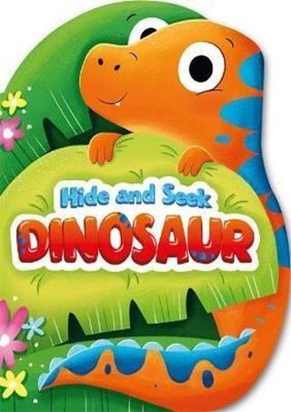 Hide and Seek Dinosaur - Igloo Books  - Bonnier Books UK