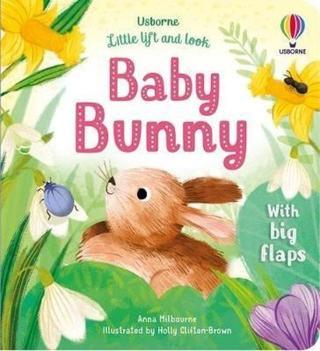 Little Lift and Look Baby Bunny - Anna Milbourne - Usborne