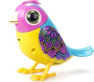 Digibirds Tekli Paket Seri 2 - Model 1