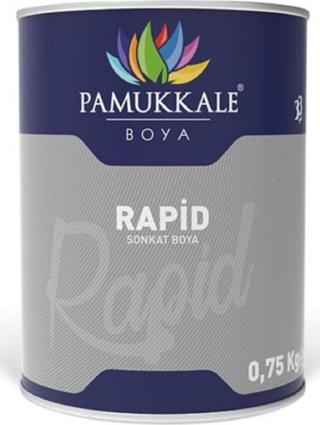 Pamukkale 1402 Rapid Boya 0.75 Kg Antrasit Gri Ral 7016