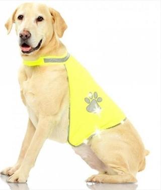 Pawise Fosforlu Köpek Yeleği Medium 42*66 cm
