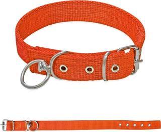 Savex Dokuma Köpek Boyun Tasması Turuncu 4*70 cm