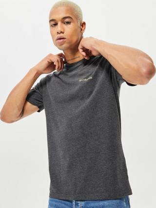 Columbıa M Basıc Sm Logo Brushed Ss Tee Erkek T-shirt