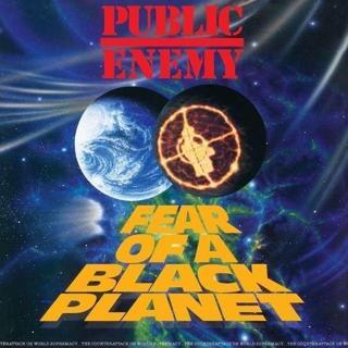 Def Jam Fear Of A Black Planet 180 Gr. + Mp3 Download Voucher