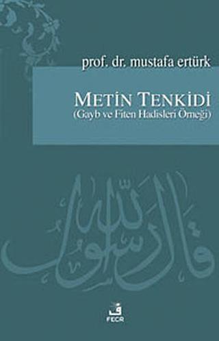 Metin Tenkidi - Mustafa Ertürk - Fecr Yayınları