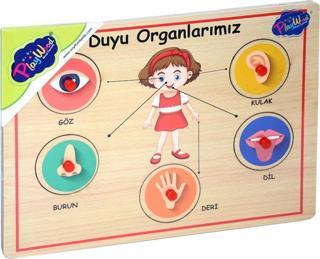 166/167 Onyıl, Ahşap Tutmalı Organlar