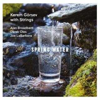 Emre Grafson Müzik Spring Water LP - Kerem Görsev