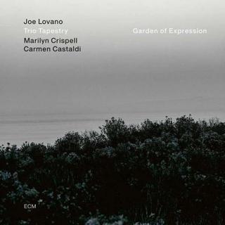 ECM Joe Lovano Garden Of Expression Plak - Joe Lovano Trio Tapestry