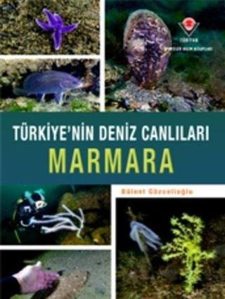 Marmara - Türkiye'nin Deniz Canlıları - Bülent Gözcelioğlu - Tübitak Yayınları