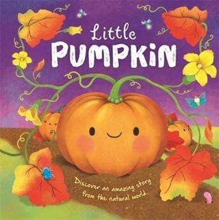 Little Pumpkin - Autumn Publishing - Igloo Books Ltd