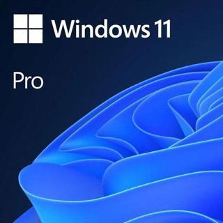 Microsoft Win 11 Pro ESD TR