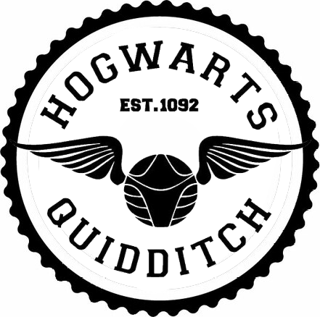 Hogwarts Quıddıtch Tasarım Sticker 40 x 40 cm