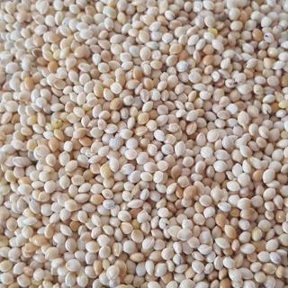 katzoo 25Kg Ak Darı - Muhabbet Kuşu-Papağan Yemi