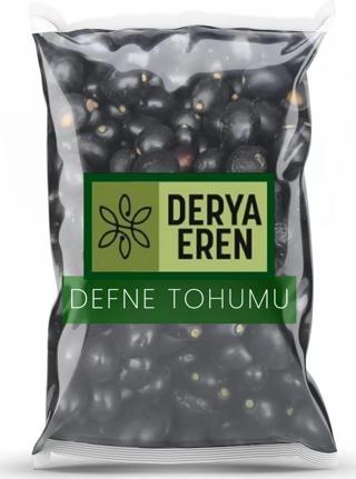 Derya Eren Defne Tohumu (laurus nobilis) 500g