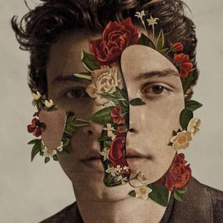 Island Records UK Shawn Mendes Plak - Shawn Mendes