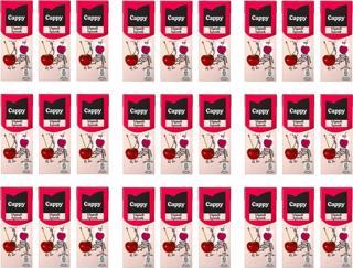 Cappy Bahçe Vişneli İçecek 200 Ml X 27 Adet