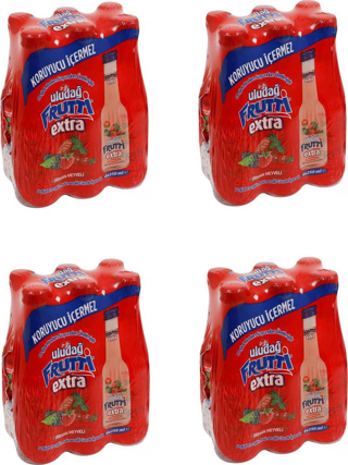 Uludağ Frutti Extra Orman Meyveli 250 Ml X 24 Adet