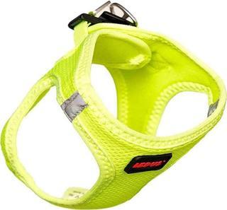 Lepus Kedi Köpek Beden Tasması Açık Yeşil M