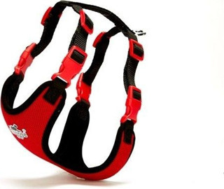 Doggie Havalı Köpek Göğüs Tasması 30x35 cm Kırmızı