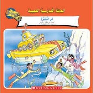 (Arabic)Magic School Bus: Ups and Downs - Christian Brothers - Scholastic MAL
