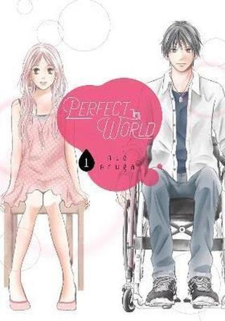 Perfect World Vol. 1 - Rie Aruga - Seven Seas Entertainment, LLC