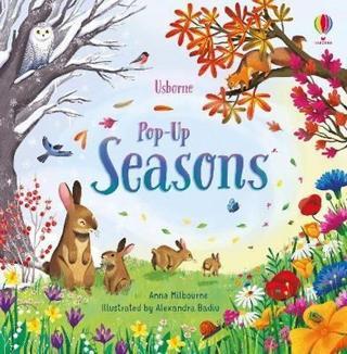 Pop-Up Seasons - Anna Milbourne - Usborne