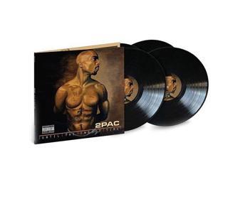Interscope Records 2Pac Until The End Of Time Plak - 2 Pac 