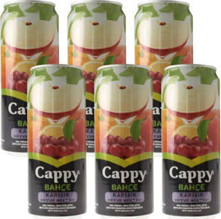 Cappy Bahçe Karışık Nektarı Meyve Suyu 330Ml - 6 Adet