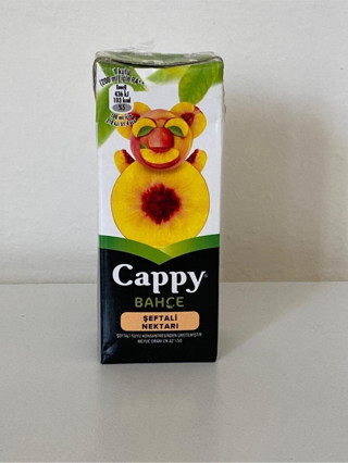 Cappy Tetra Şeftali 200 Ml *27 Adet