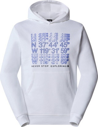 The North Face M SS24 COORDINATES HOODIE Erkek Sweat Shirt NF0A87EAFN41