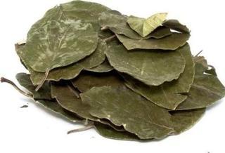 Avokado Yaprağı 25 G