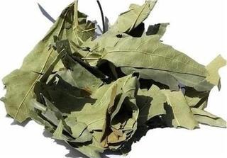 Lokman Aktar Çınar Yaprağı 20 Gr (Paket-Bitki) 1Adet