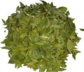 Mersin Yaprağı 500 Gr