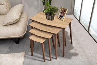 VEGA 4LÜ DÖRTLÜ MDF AHŞAP ZİGON SEHPA - MEŞE