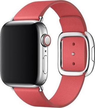 Apple Watch 40 mm Klasik Kayış Yavruağzı Pembe