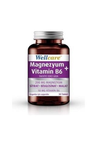 Wellcare Magnezyum + Vitamin B6 Takviye Edici Gıda 30 Tablet