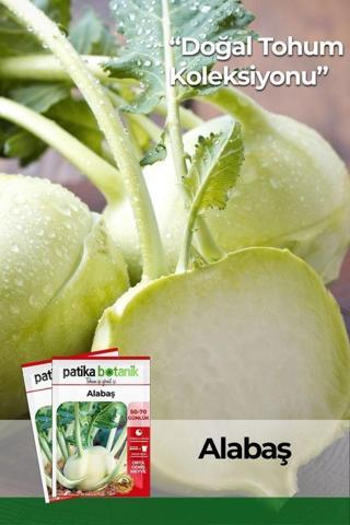200 Adet Alabaş Tohumu